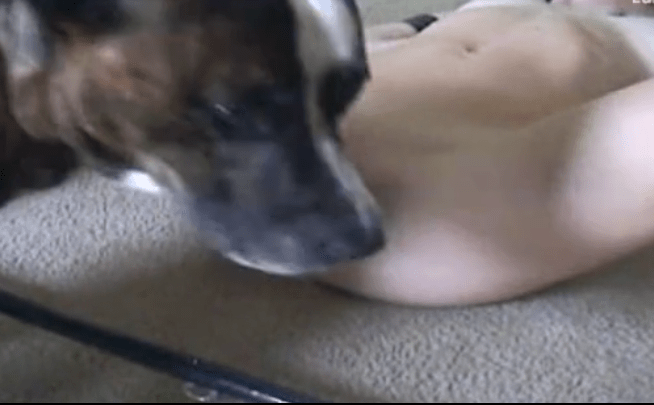 Barzzer Sex Video Hd Dog - Animal Porn Archives - Parody Porn